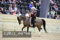 23R13_09769 thumbnail