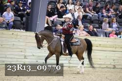 23R13_09770 thumbnail