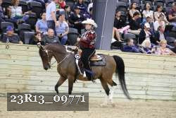 23R13_09771 thumbnail