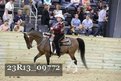 23R13_09772 thumbnail
