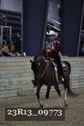 23R13_09773 thumbnail