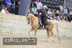 23R13_09775 thumbnail