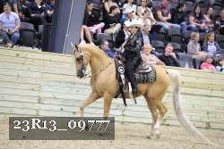 23R13_09777 thumbnail