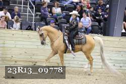 23R13_09778 thumbnail