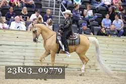 23R13_09779 thumbnail