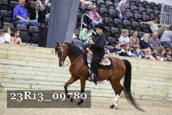 23R13_09780 thumbnail
