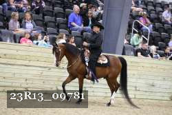 23R13_09781 thumbnail