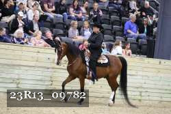 23R13_09782 thumbnail
