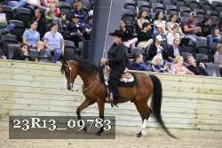 23R13_09783 thumbnail