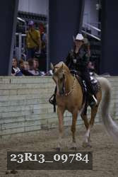 23R13_09784 thumbnail