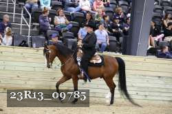 23R13_09785 thumbnail
