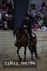 23R13_09786 thumbnail