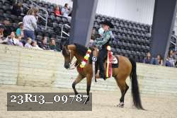 23R13_09787 thumbnail