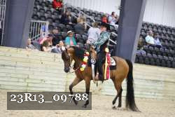 23R13_09788 thumbnail