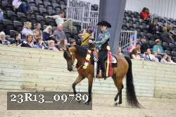 23R13_09789 thumbnail