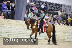 23R13_09790 thumbnail
