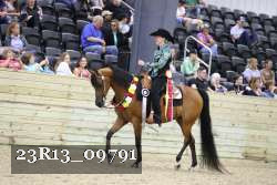 23R13_09791 thumbnail