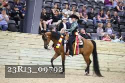 23R13_09792 thumbnail