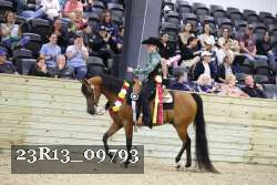 23R13_09793 thumbnail