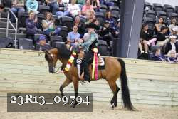 23R13_09794 thumbnail