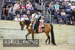 23R13_09795 thumbnail