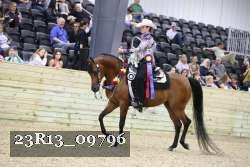 23R13_09796 thumbnail