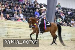 23R13_09797 thumbnail