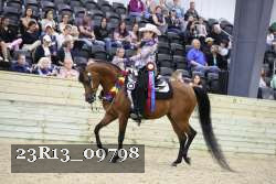 23R13_09798 thumbnail