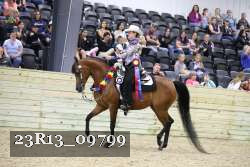 23R13_09799 thumbnail