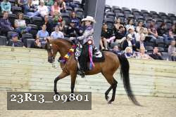 23R13_09801 thumbnail