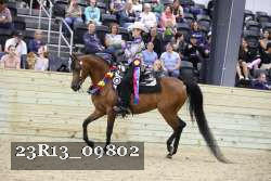 23R13_09802 thumbnail