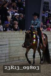 23R13_09803 thumbnail