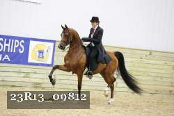 23R13_09812 thumbnail