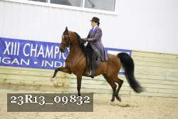 23R13_09832 thumbnail