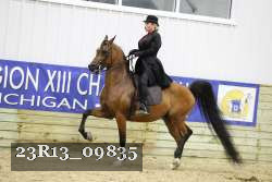 23R13_09835 thumbnail