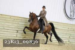 23R13_09836 thumbnail