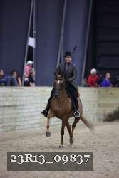 23R13_09837 thumbnail