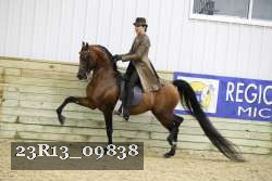 23R13_09838 thumbnail