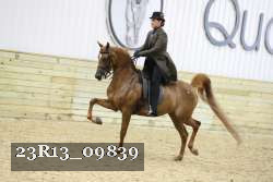 23R13_09839 thumbnail