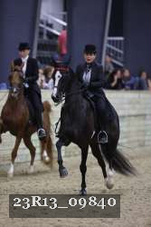23R13_09840 thumbnail
