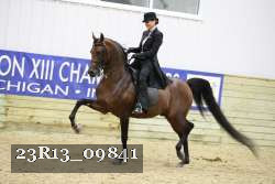 23R13_09841 thumbnail