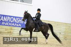 23R13_09843 thumbnail