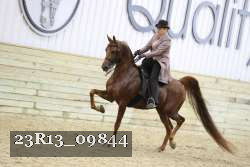 23R13_09844 thumbnail