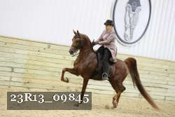 23R13_09845 thumbnail