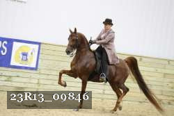 23R13_09846 thumbnail