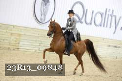 23R13_09848 thumbnail