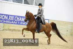 23R13_09849 thumbnail