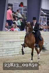 23R13_09850 thumbnail