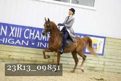 23R13_09851 thumbnail