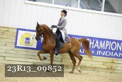 23R13_09852 thumbnail